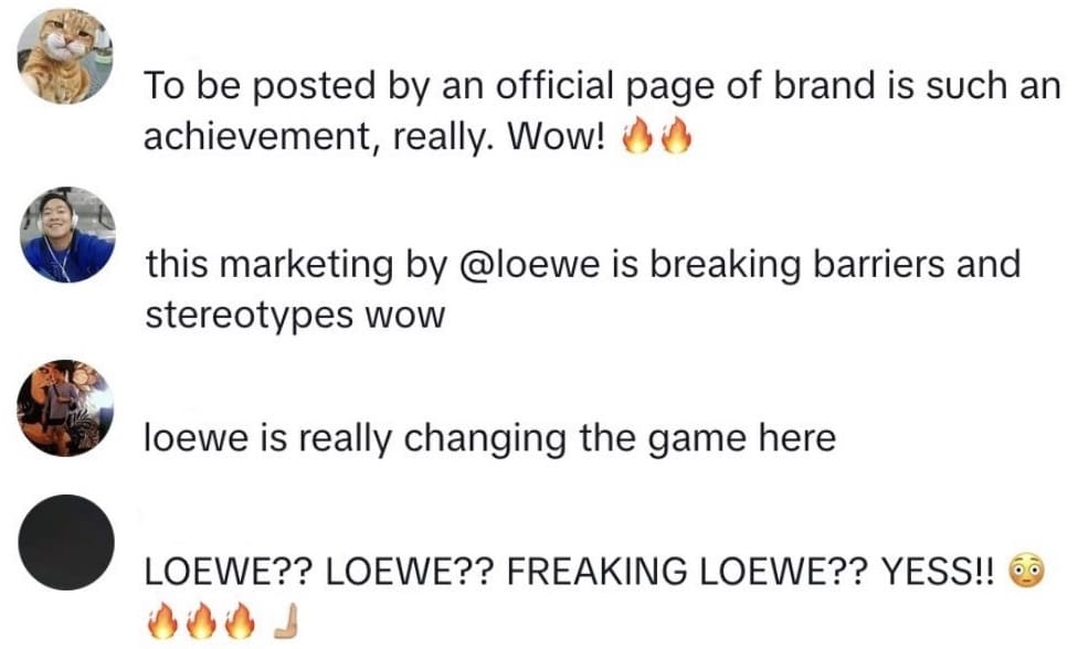 comments about Loewe